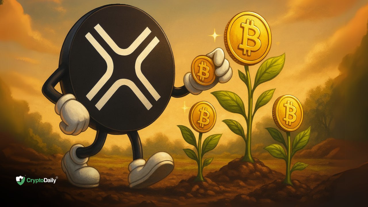 DigitalX Secures $13.5M to Expand Bitcoin Holdings; Bolster Strategic Leadership