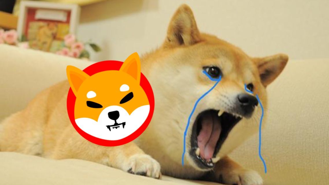 Shiba Who? XYZ Coin’s $0.0005 Entry Could Set You on a Path to Riches Untold! Over 10,000% Potential