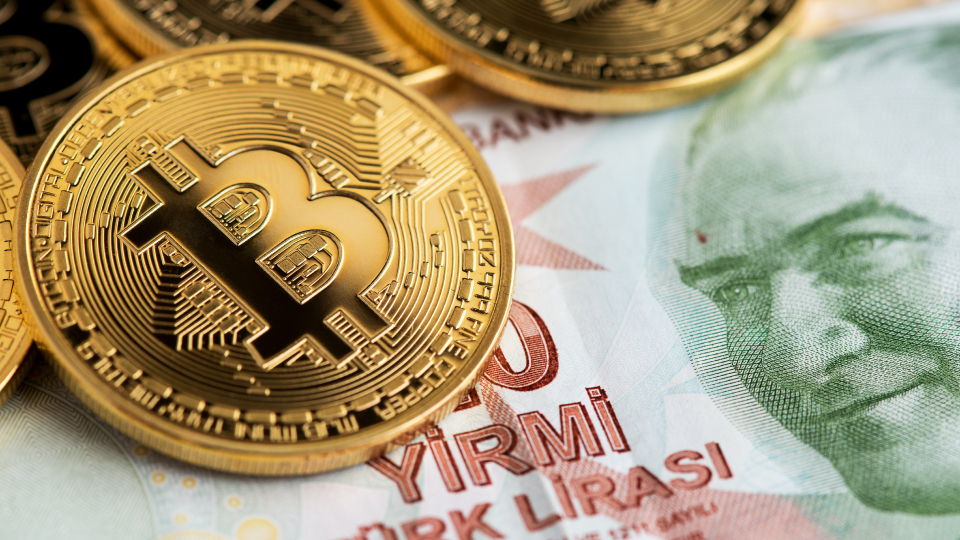 More than half of adult Turks seek inflation hedge in crypto